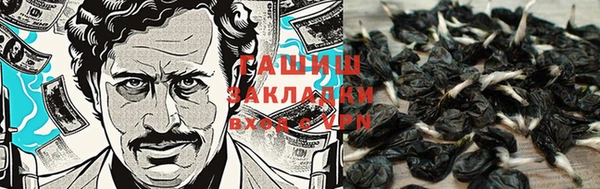 скорость Балахна